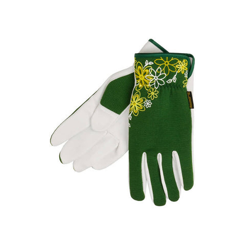 Maximus quam posuere