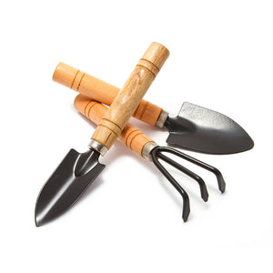 Curabitur cursus dignis