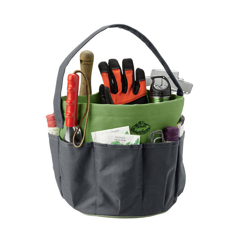 Curabitur cursus dignis