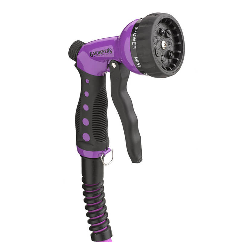 Maximus quam posuere